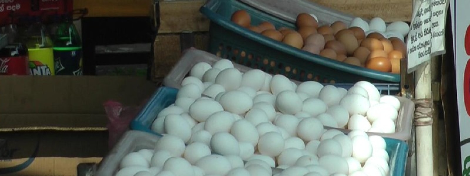 Eggs to be sold for Rs. 55/- in Colombo & Gampaha
